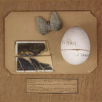 ADAGP, Paris e DACS, Londres, Andre Breton 2025